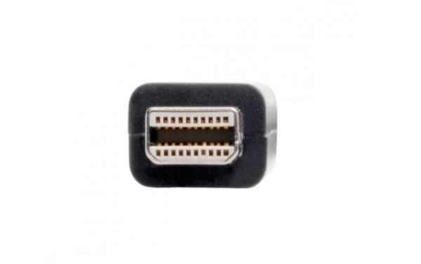 Tripp Lite Adaptador Mini DisplayPort Macho - DVI-I Hembra, Negro A DVI 1080P 152 MM THUNDERBOLT - Image 4