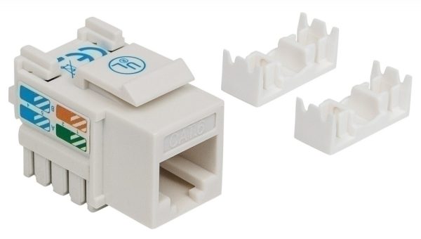 Intellinet Jack Categoría 6, RJ-45, Blanco DE IMPACTO BLANCO - Image 3