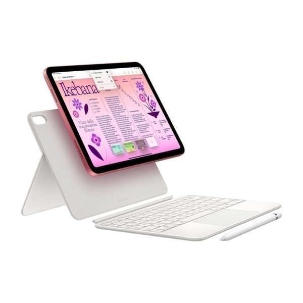 IPAD WI-FI CELLULAR 10.9 IN 256 GB PLATA - Image 6
